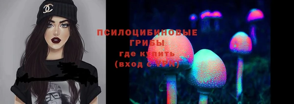 тгк Богородск