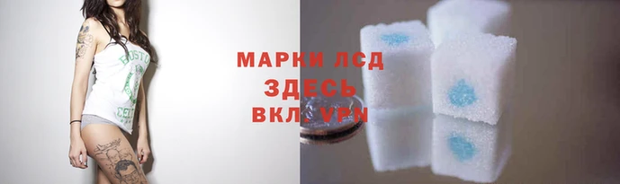 тгк Богородск