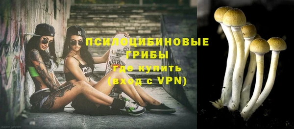 spice Богданович